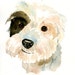 Claire MacDonald reviewed CUSTOM of your PET by DIMDI Original watercolor painting 8X10inch