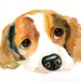 Megan Zupan reviewed CUSTOM PET PORTRAIT Original watercolor painting 8X10inch