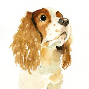 Custom pet portrait Pet portrait painting Pet portrait Custom pet portrait painting Pet memorial Pet portrait watercolor Custom Dog portrait