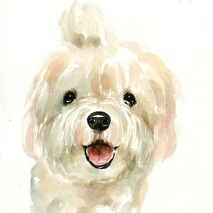 RITRATTO DEL tuo animale DOMESTICO Acquerello su carta 20x25cm