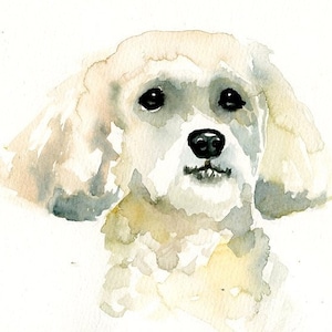 Custom pet portrait Watercolor pet portrait dog portrait Custom pet painting Custom dog portrait Original watercolor painting 8X10inch image 3