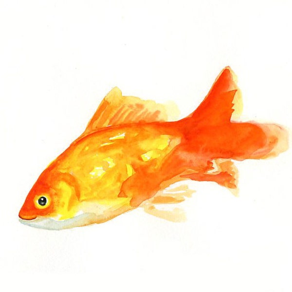 GOLDFISH by DIMDI Original watercolor painting 10X8inch