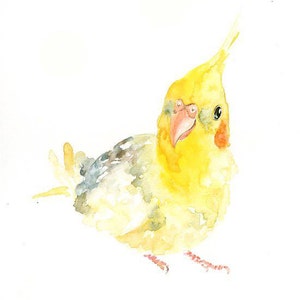 RITRATTO DEL tuo animale DOMESTICO Acquerello su carta 20x25cm