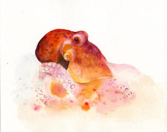 Original watercolor painting of an Octopus 8x10inch