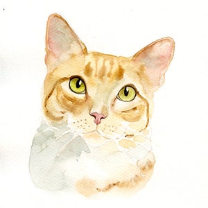 Custom pet portrait Pet portrait custom Custom cat portrait Custom pet painting Custom dog portrait Original watercolor painting 8X10inch image 4