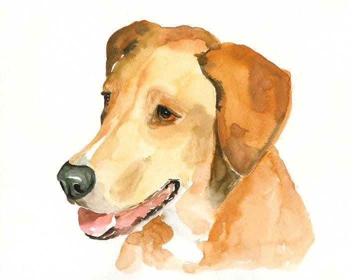 Custom Pet Portrait Watercolor Pet Portrait Dog Portrait - Etsy