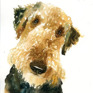 RITRATTO DEL tuo animale DOMESTICO Acquerello su carta 20x25cm