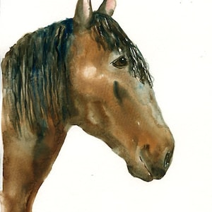 RITRATTO DEL tuo animale DOMESTICO Acquerello su carta 20x25cm