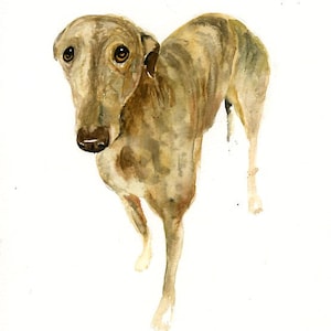 RITRATTO DEL tuo animale DOMESTICO Acquerello su carta 20x25cm