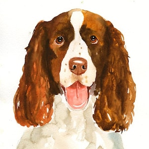 RITRATTO DEL tuo animale DOMESTICO Acquerello su carta 20x25cm