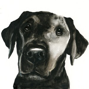 RITRATTO DEL tuo animale DOMESTICO Acquerello su carta 20x25cm