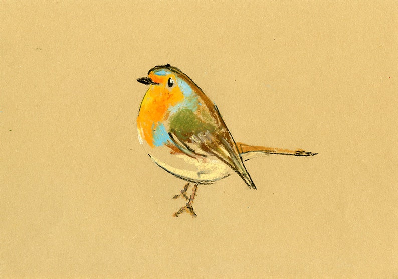 ROBIN Animal art Bird art Original pastel oil on sand drawing paper 8x10inch image 1