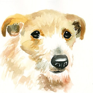 RITRATTO DEL tuo animale DOMESTICO Acquerello su carta 20x25cm