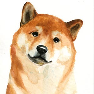 RITRATTO DEL tuo animale DOMESTICO Acquerello su carta 20x25cm