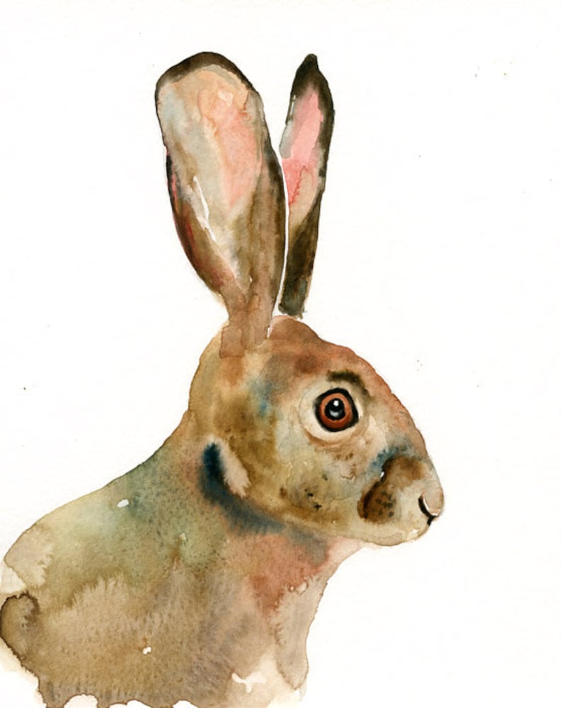 Jackrabbit watercolor painting