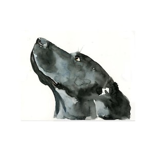 Retrato personalizado de mascota, obra de arte hecha a mano, tamaño 8 x 10 pulgadas.