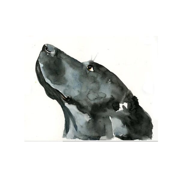 Hand Painted Watercolor Pet Portrait: Custom Dog Art