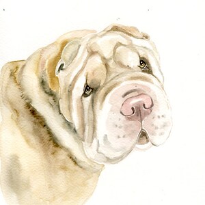 RITRATTO DEL tuo animale DOMESTICO Acquerello su carta 20x25cm