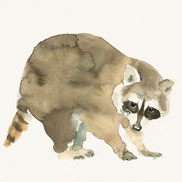 RACCOON Original watercolor painting 10x8inch