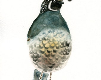 California quail ,Animal art, bird art,  Original watercolor painting 8X10inch