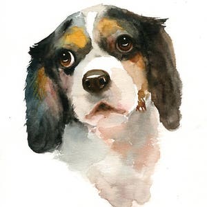 RITRATTO DEL tuo animale DOMESTICO Acquerello su carta 20x25cm