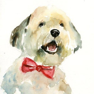 RITRATTO DEL tuo animale DOMESTICO Acquerello su carta 40x50cm