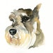 see more listings in the CUSTOM PET PORTRAITS section