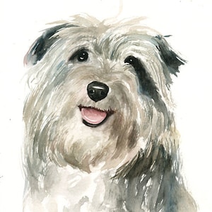 RITRATTO DEL tuo animale DOMESTICO Acquerello su carta 20x25cm