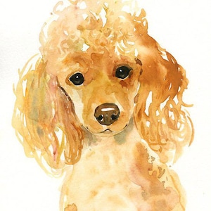 RITRATTO DEL tuo animale DOMESTICO Acquerello su carta 20x25cm