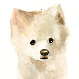 RITRATTO DEL tuo animale DOMESTICO Acquerello su carta 20x25cm