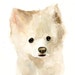 see more listings in the CUSTOM PET PORTRAITS section