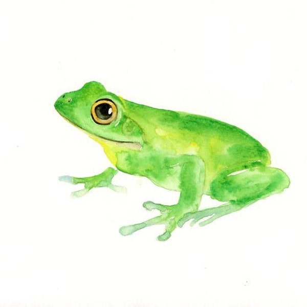 FROG Original watercolor painting 10X8inch