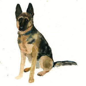 RITRATTO DEL tuo animale DOMESTICO Acquerello su carta 20x25cm