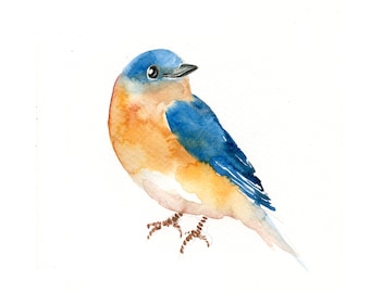 Bluebird bird Original watercolor painting 5x7inch