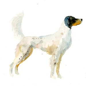 RITRATTO DEL tuo animale DOMESTICO Acquerello su carta 20x25cm