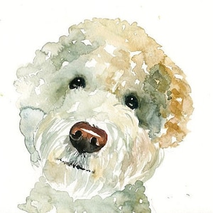 RITRATTO DEL tuo animale DOMESTICO Acquerello su carta 20x25cm