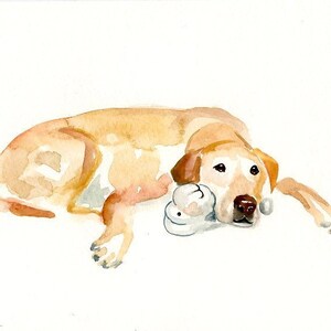 RITRATTO DEL tuo animale DOMESTICO Acquerello su carta 20x25cm