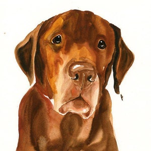 RITRATTO DEL tuo animale DOMESTICO Acquerello su carta 20x25cm