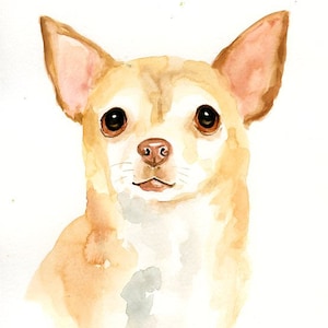 RITRATTO DEL tuo animale DOMESTICO Acquerello su carta 20x25cm