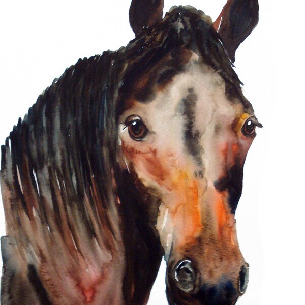 HORSE portrait Original watercolor painting 11X14inch