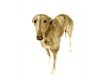 Custom Pet Portrait: Original Watercolor Painting, Pet Memorial (8x10 inch)