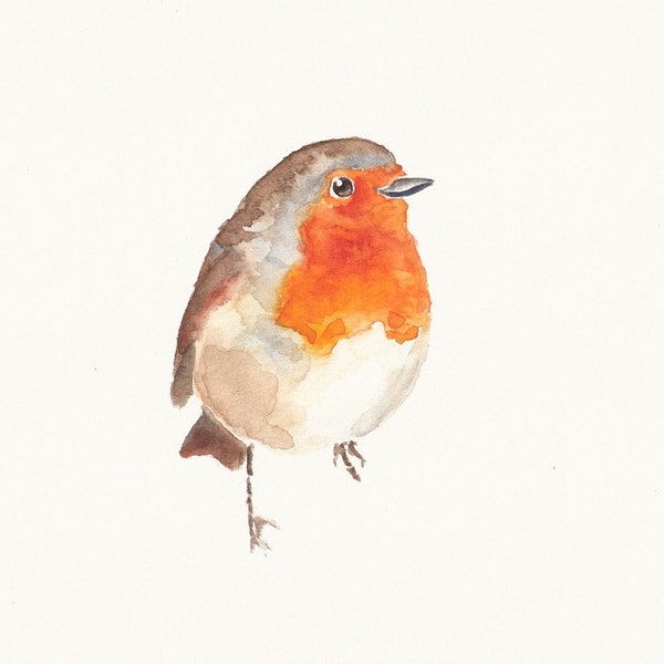 ROBIN Original watercolour painting 10X8inch