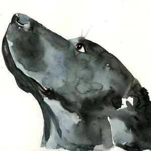 RITRATTO DEL tuo animale DOMESTICO Acquerello su carta 20x25cm