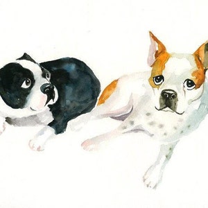 RITRATTO della tua coppia di  animal1 DOMESTICI Acquerello su carta 20x25cm