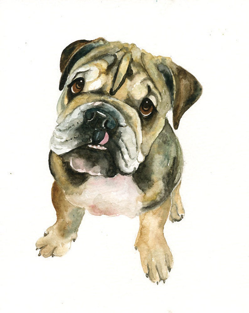 Custom pet portrait Pet portrait custom Custom dog portrait Custom pet painting Custom dog portrait Original watercolor painting 8X10inch image 5