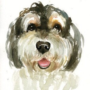 Pet portrait Custom pet portrait Custom dog portrait Custom pet painting Original painting Original watercolor painting 8X10inch image 5
