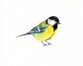 Great Tit, Animal watercolor, Original watercolor painting, bird art, 10x8inch