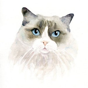 RITRATTO DEL tuo animale DOMESTICO Acquerello su carta 20x25cm