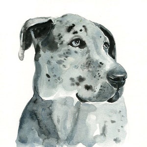 RITRATTO DEL tuo animale DOMESTICO Acquerello su carta 20x25cm