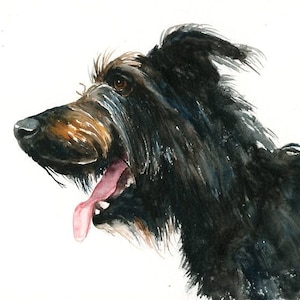 RITRATTO DEL tuo animale DOMESTICO Acquerello su carta 20x25cm